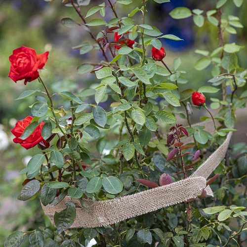 Jute bånd 5 cm / 8 m - 7