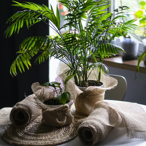 Jute bånd 5 cm / 8 m - 8