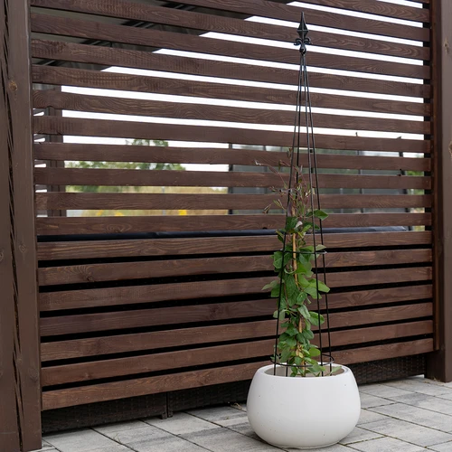 Metalpergola - Pyramide, 135 cm - 5