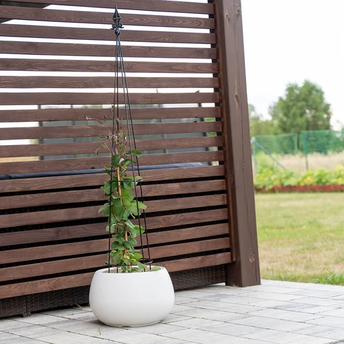 Metalpergola - Pyramide, 135 cm - 4