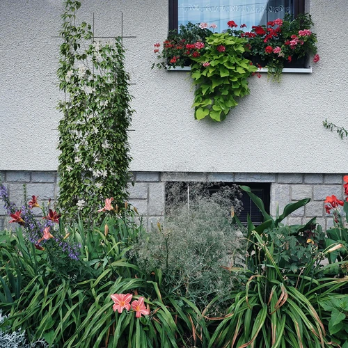 Planteunderstøttelse - gitter (150cm x 45cm) 3 stykker - 4