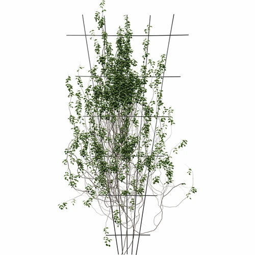 Planteunderstøttelse - gitter (150cm x 75cm) 2 stykker - 3