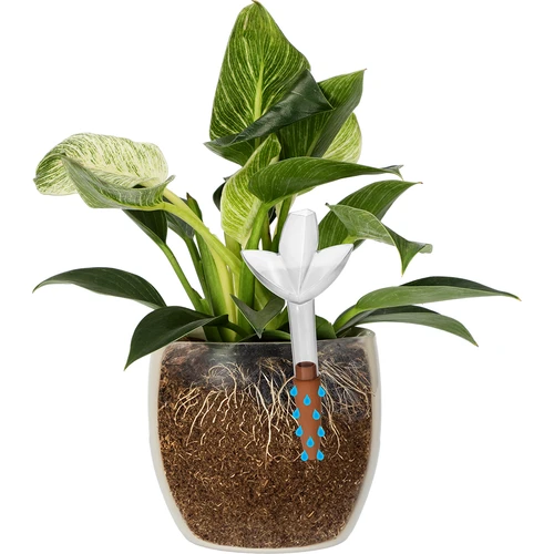 Plantevander – gennemsigtigt blad med keramisk fod, 120 ml - 6
