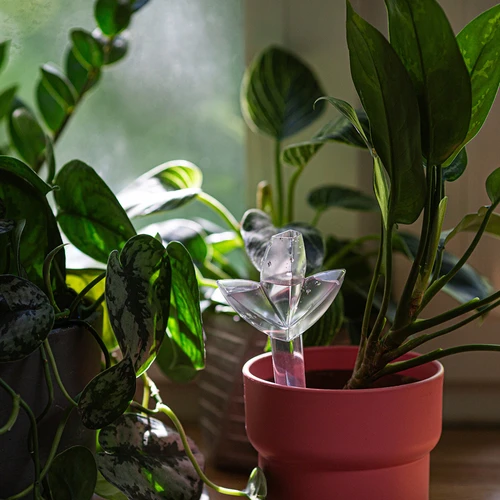 Plantevander – gennemsigtigt blad med keramisk fod, 120 ml - 9
