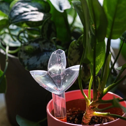 Plantevander – gennemsigtigt blad med keramisk fod, 120 ml - 10