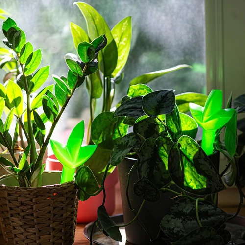 Plantevander – grønt blad, 120 ml - 7