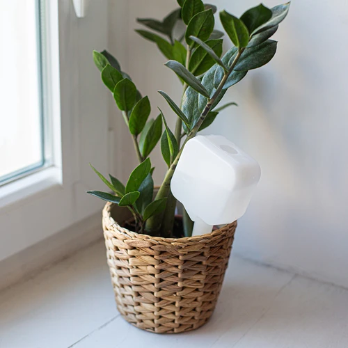 Plantevander - hvid tavle med keramisk fod, 200 ml - 9