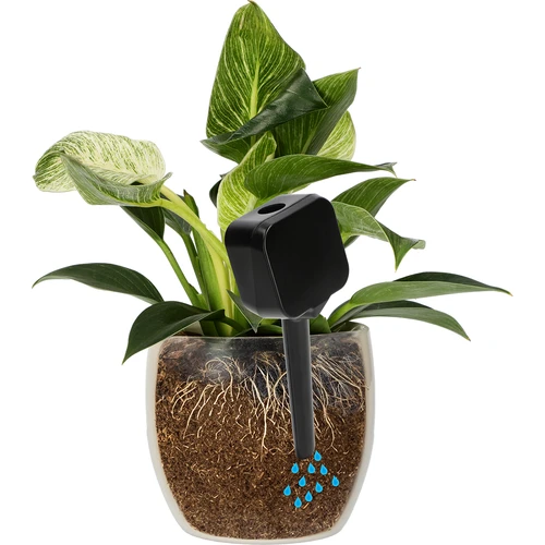 Plantevander – sort tavle, 200 ml - 6