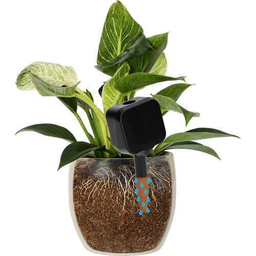 Plantevander – sort tavle med keramisk fod, 200 ml - 6