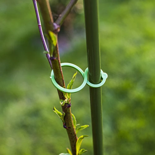 Plastikclips til fastgørelse af planter, mix 50 stk. - 7
