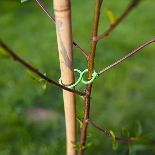Plastikclips til fastgørelse af planter, mix 50 stk. - 6