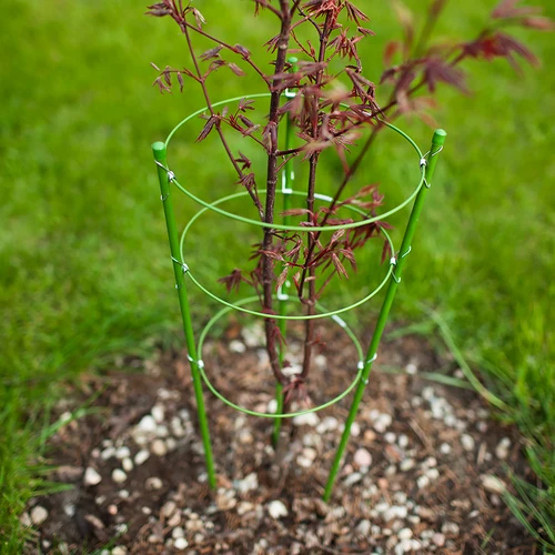 Ringunderstøttelse til planter 3 ringe 0,5m - 3