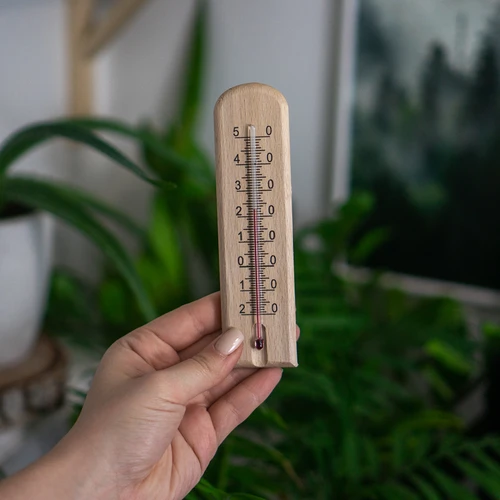 Rumtermometer med mønster (-20°C til +50°C) 15cm - 4