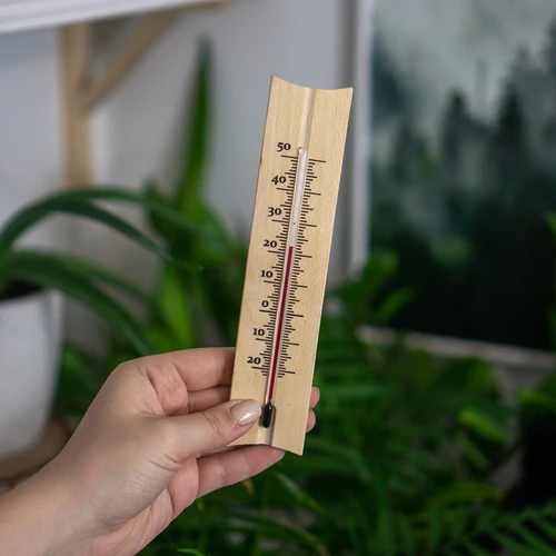 Rumtermometer med mønster (-20°C til +50°C) 18cm - 3