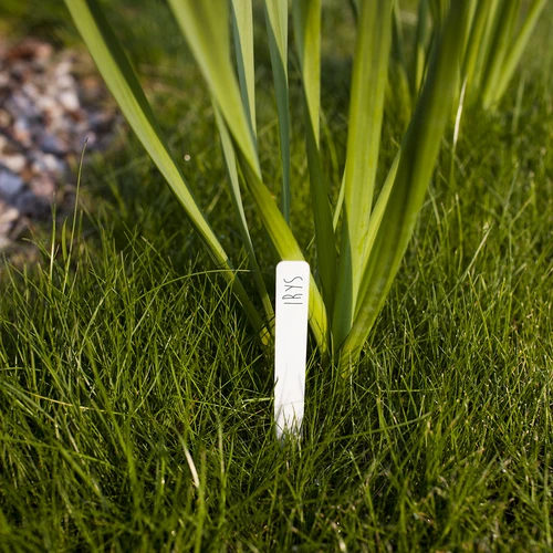 Skilte til beskrivelse af planter + blyant mix 10+20 stk. - 7