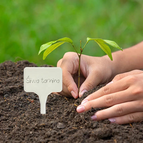 Skilte til beskrivelse af planter + blyant mix 10+20 stk. - 10