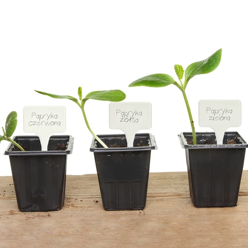 Skilte til beskrivelse af planter + blyant mix 10+20 stk. - 12