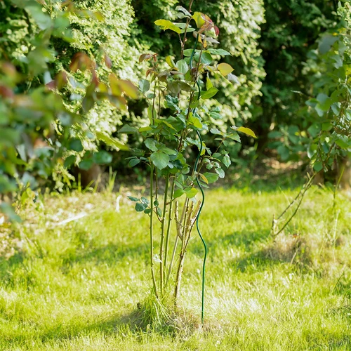 Spiralformet stålstang 1,25m x 6mm - 3