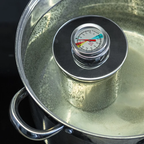 Termometer til skinkekoger 0,8 kg (0°C til +120°C) 9,0cm - 8