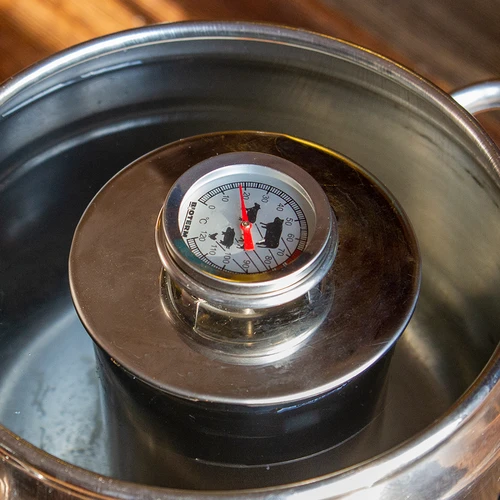 Termometer til stegning af kød (0°C til +120°C) 12,5cm - 12