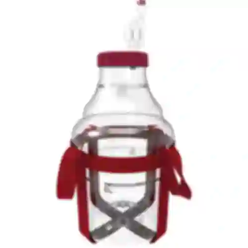 Let, brudsikker vinballon med seler, 10 L
