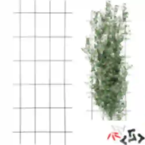 Planteunderstøttelse – havegitter 150 x 60cm
