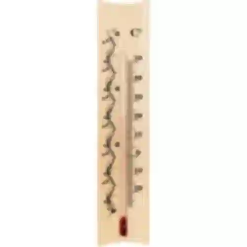Rumtermometer med mønster (-20°C til +50°C) 18cm