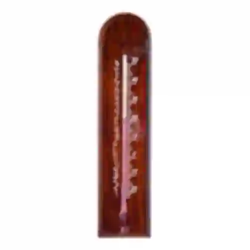 Rumtermometer med mønster (-20°C til +50°C) 18cm mix
