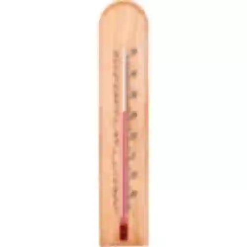 Rumtermometer med mønster (-20°C til +50°C) 20cm