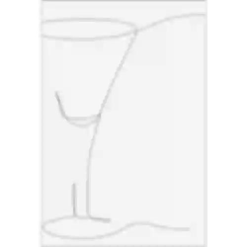 Selvklæbende etiketter 60 x 90 mm til flasker, likør, alkohol, vodka - 20 stk.