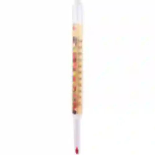 Termometer til konservering (0°C til +100°C) 22cm