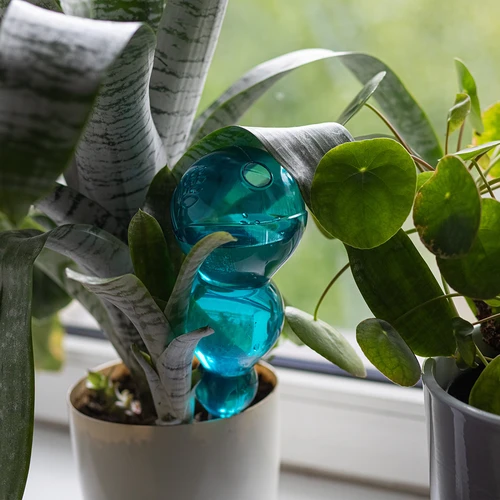 Tredobbelt vandingskugle (trekammer), gennemsigtig blå, 600 ml - 6