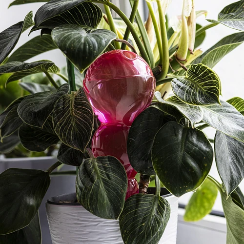 Tredobbelt vandingskugle (trekammer), gennemsigtig lyserød, 600 ml - 7