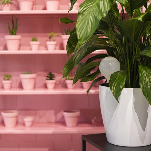 Vandingskugle til planter, mat hvid med keramisk fod, 400ml - 10