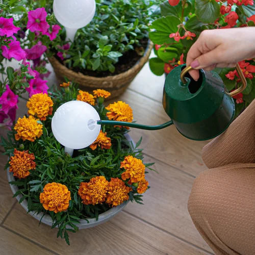 Vandingskugle til planter, mat hvid med keramisk fod, 400ml - 8