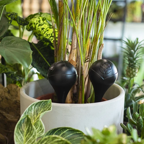 Vandingskugle til planter, sort mat med keramisk fod (i pakke) 400 ml - 10