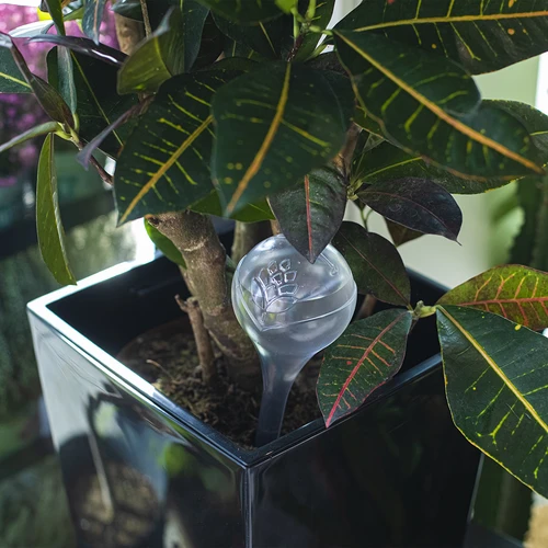 Vandingskugler til planter, gennemsigtige, 400 ml, 2 stk. - 10