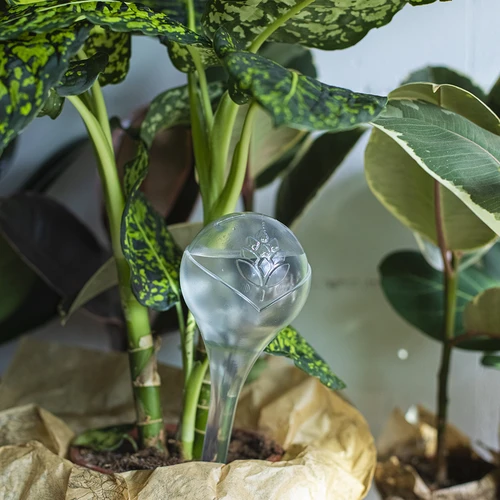 Vandingskugler til planter, gennemsigtige, 400 ml, 2 stk. - 11
