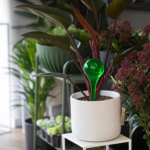 Vandingskugler til planter, grønne gennemsigtige, 400 ml, 4 stk. - 9