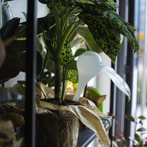 Vandingskugler til planter, hvide halvgennemsigtige, 400 ml, 4 stk. - 11