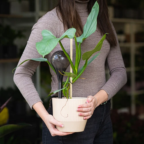 Vandingskugler til planter, sorte gennemsigtige, 400 ml, 2 stk. - 12