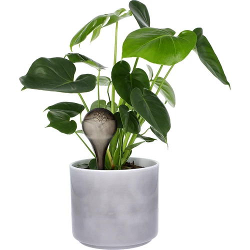 Vandingskugler til planter, sorte gennemsigtige, 400 ml, 4 stk. - 6