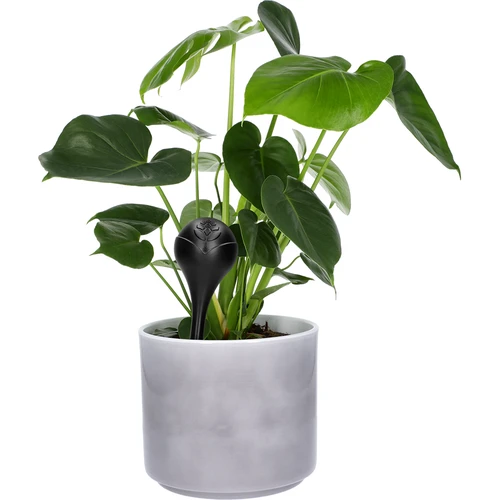 Vandingskugler til planter, sorte matte, 400 ml, 2 stk. - 7