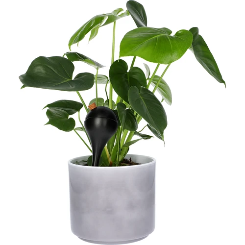 Vandingskugler til planter, sorte matte, med prop, 400ml, 4 stk. - 7