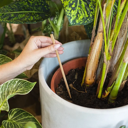 Vandingskugler til planter, sorte matte, med prop, 400ml, 4 stk. - 8