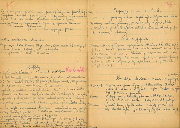 Afsnit 2: Fermenterede peberfrugter med egeblade