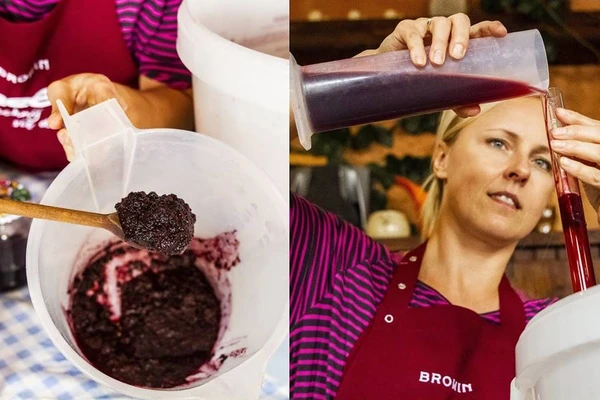 Hjemmelavet aroniavin