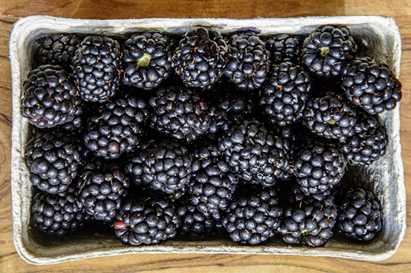 Hjemmelavet halvsød brombærvin