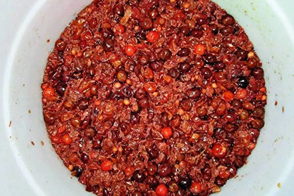 Hjemmelavet kirsebær-stikkelsbærvin