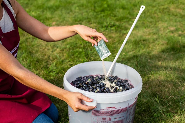 Hvordan laver man vin trin for trin?